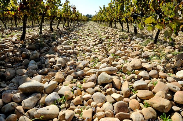 Wine Values: Tasty Red Wines From Portugal